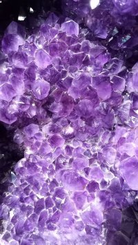 500374442_1290344729765630_2931595545400969128_n