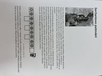 hlavolam pro většinu dětí na pár minut, ale zabaví