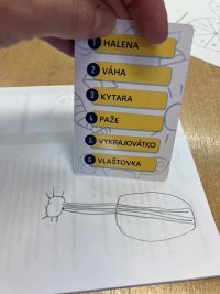 o to složitější bylo pro druhé poznat, co bylo nakresleno