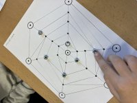 Moucha se snaží odletět z pavučiny, pavouci se ji snaží zablokovat (sežrat)