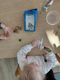 WhatsApp Image 2026-01-21 at 08.31.12.