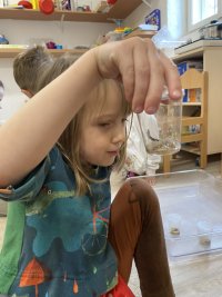 A0709AF7-D2AF-4A69-9310-7F8408D21114_1_105_c.