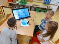 Experimentujeme se solí- Slunečnice