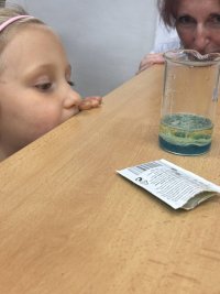 IMG_0882.